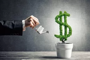 Negocios a franquicias rentables