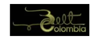 Belt Colombia